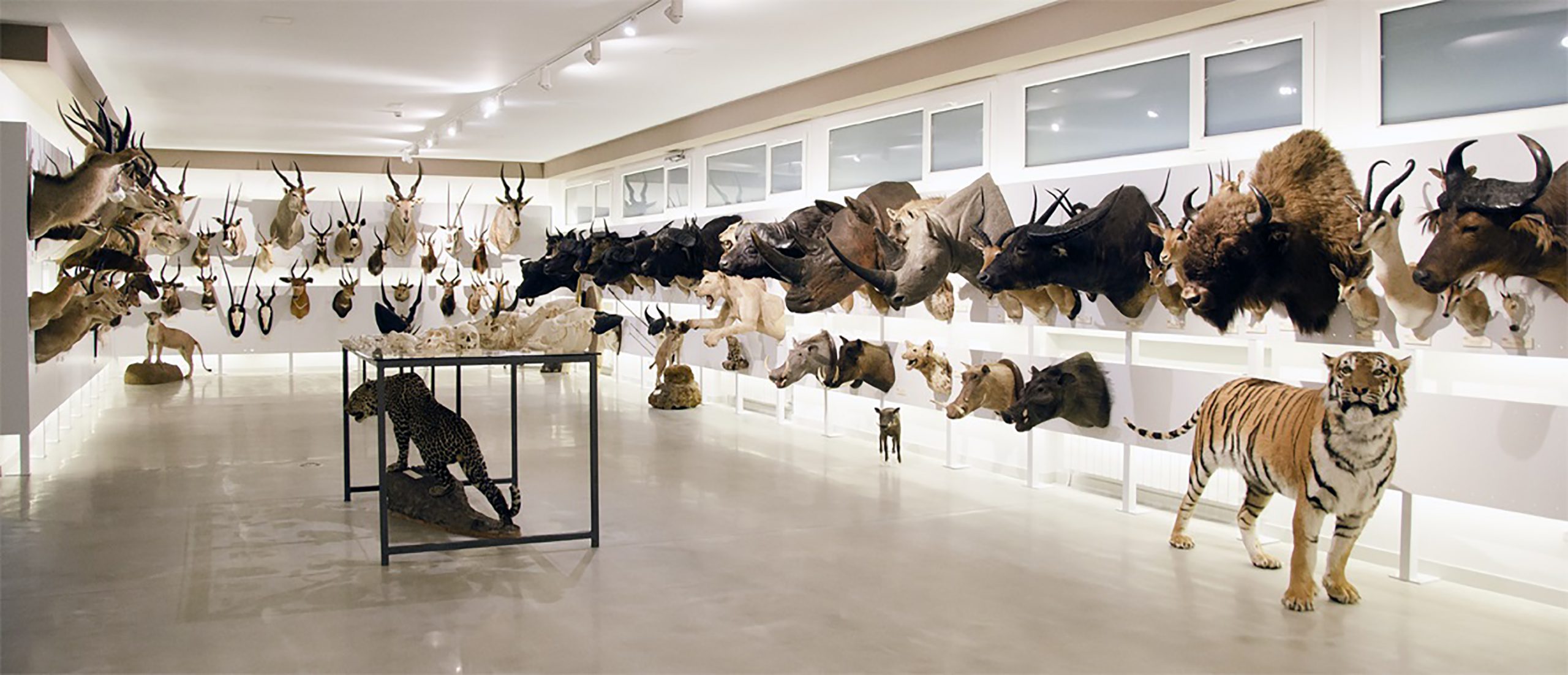 Museo de colecciones