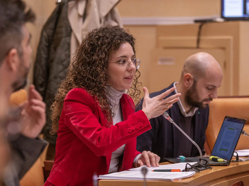 Los concejales de Ciudadanos en el Ayuntamiento de Segovia Noemí Otero y David García-Foj. / NEREA LLORENTE