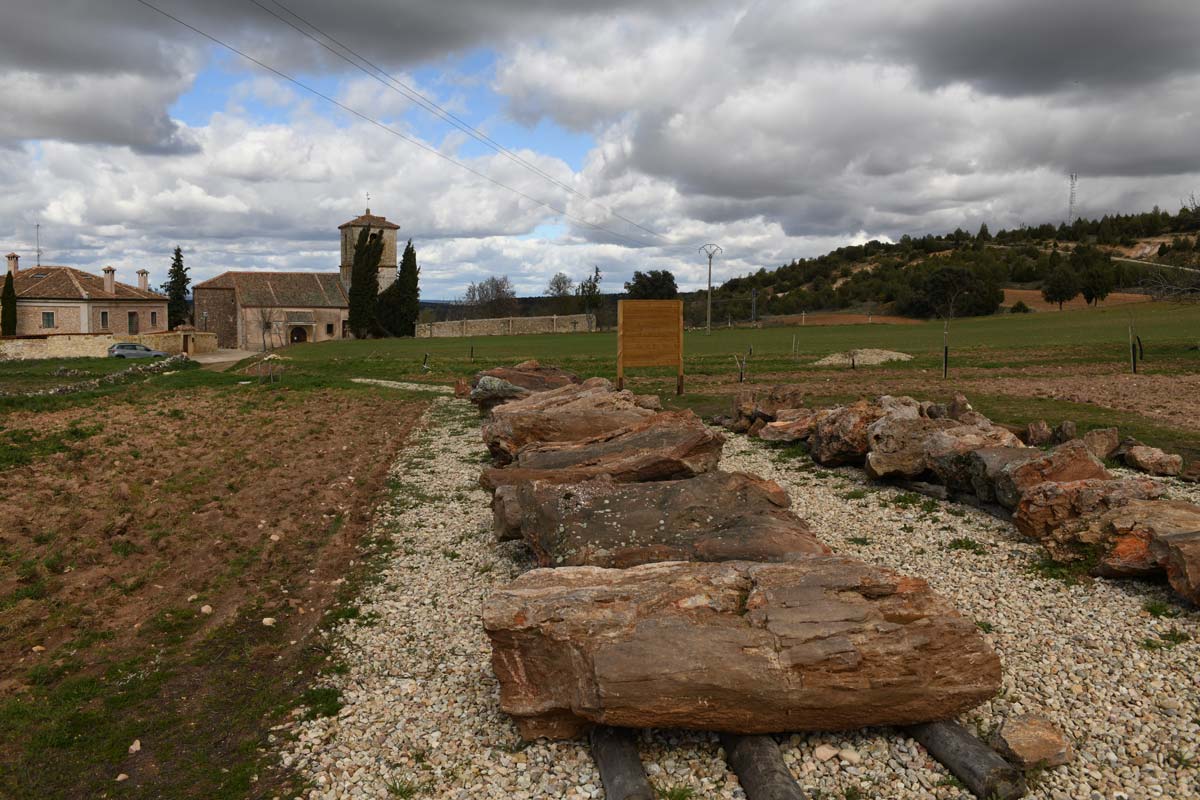 Troncos fósiles e iglesia de Arevalillo de Cega. Foro: José Antonio Santos.