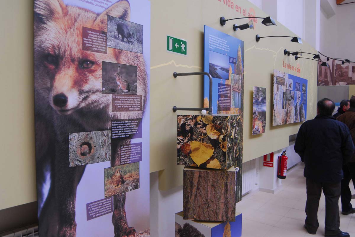 El Refugio de Montejo de la Vega de la Serrezuela es un modelo pionero de conservación privada. Foto: Kamarero.