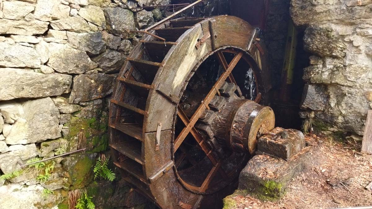 Martinete de Navafría. Foto: Teresa Prieto.