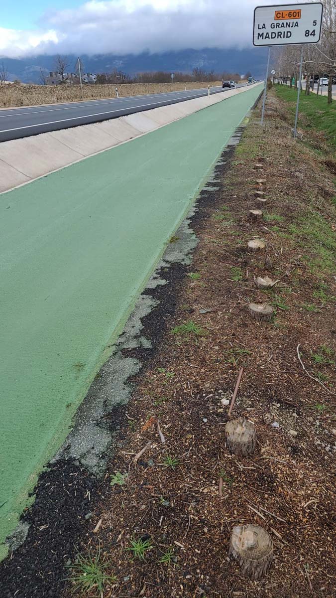 Arboleda cortada junto al carril bici en Robledo, en la actualidad.