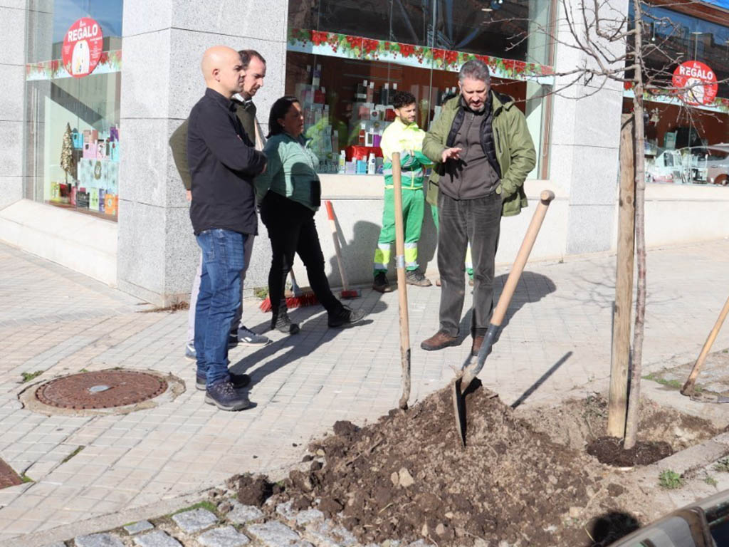 Reposición de árboles en Nueva Segovia. / EL ADELANTADO