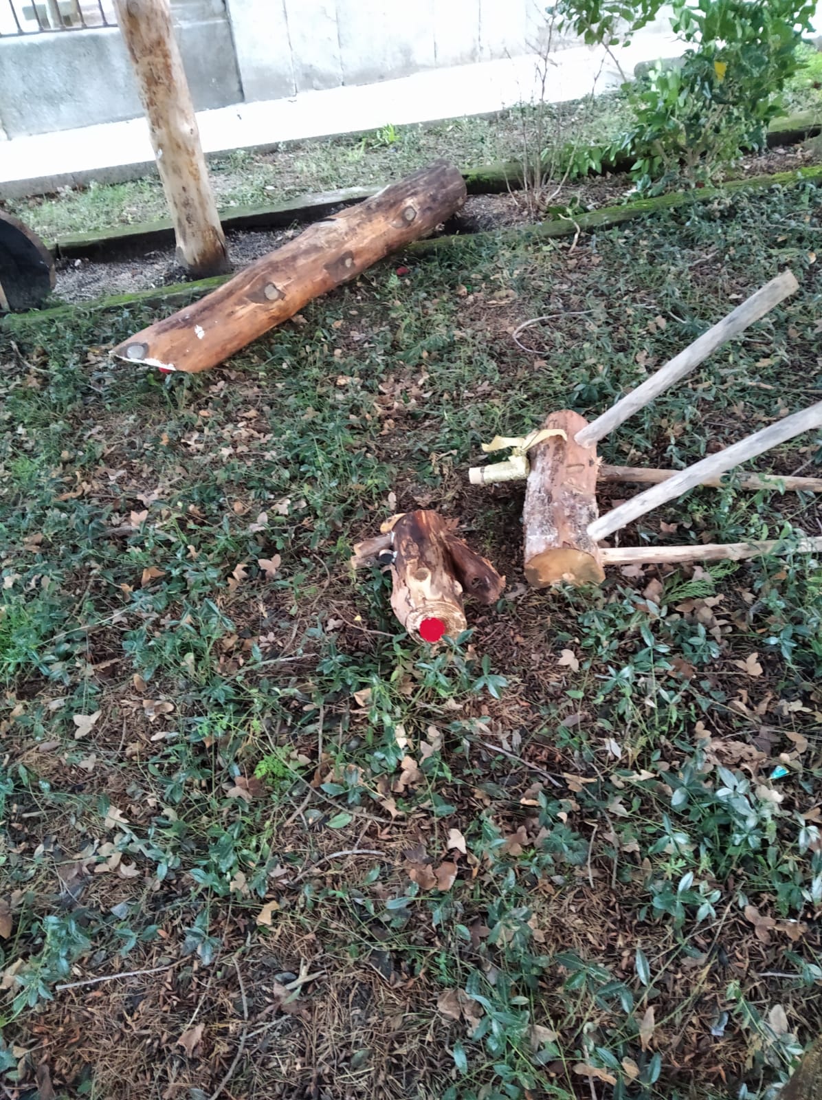 Destrozos ocasionados.