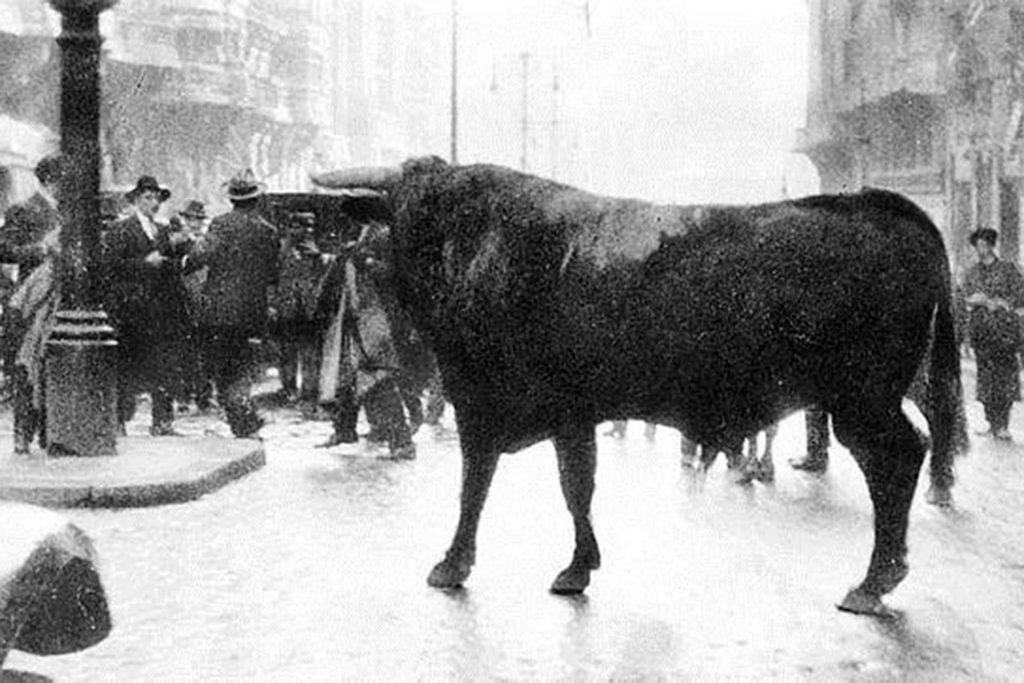 Toro escapado por el centro de Madrid, el 26 de enero de 1928.