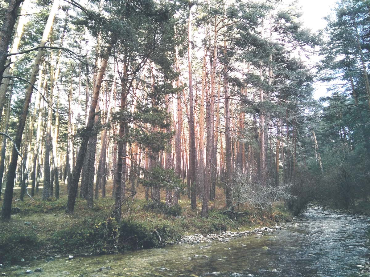 Buena parte de la ruta va acompañada del río Eresma.