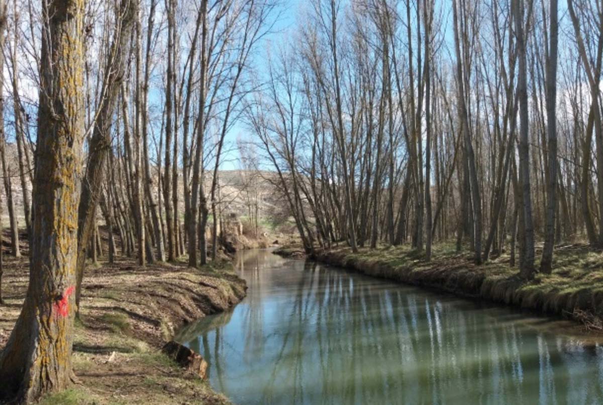 Riesgo importante de crecida en el río Riaza a su paso por Languilla 1 Imagen de archivo del río Riaza. Foto: CHD.
