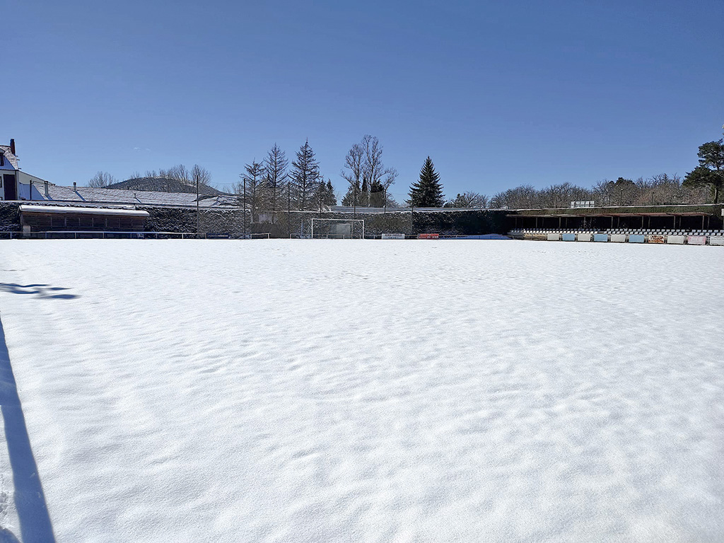 Estado en el que se encontraba el campo de El Hospital en la mañana del viernes./ CD LA GRANJA