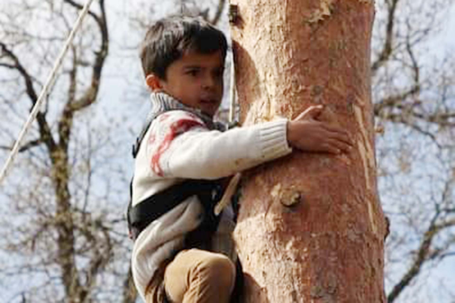 Gabarrerito. Ángela González Gala (Ventana de El Espinar).