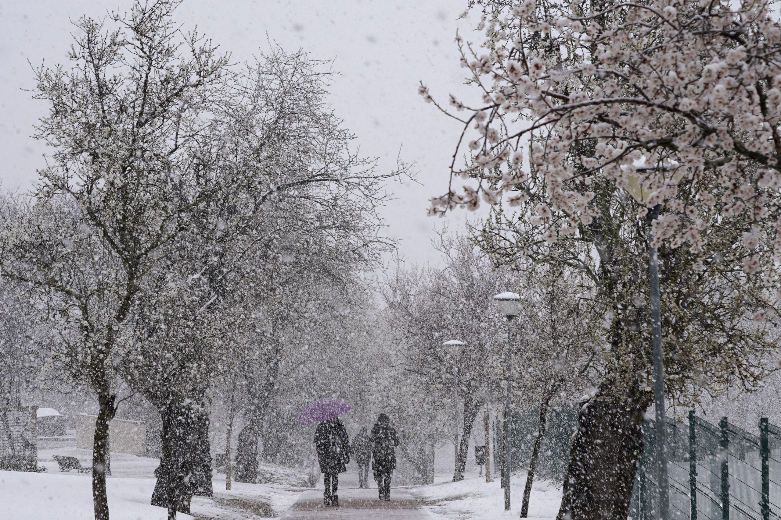 Nieve en Valladolid