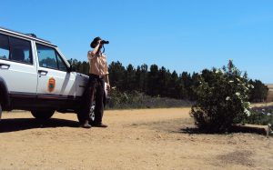 Se acuerda con Portugal dar respuestas conjuntas a catástrofes e incendios a ambos lados de la frontera.