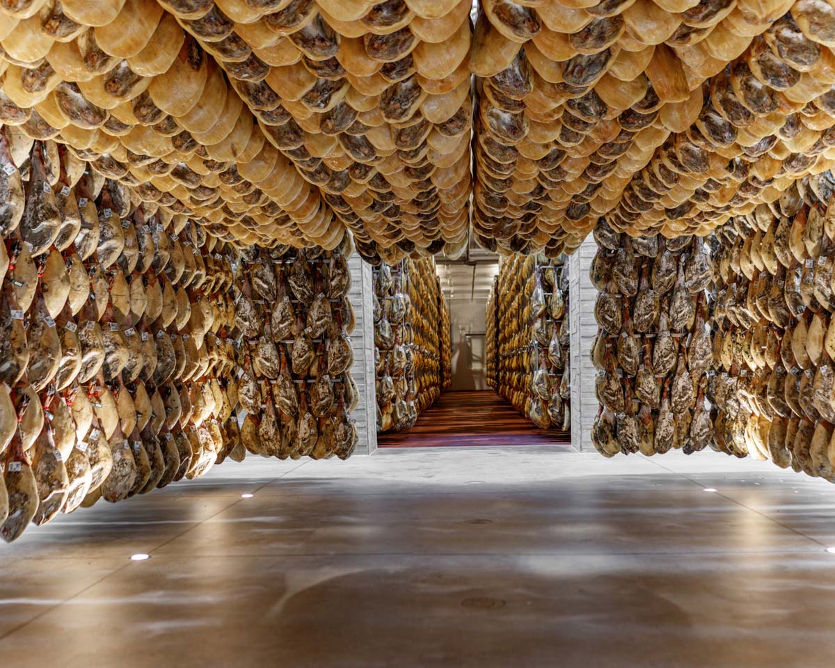 Campus del Jamón. Foto: Pedro Albornoz.