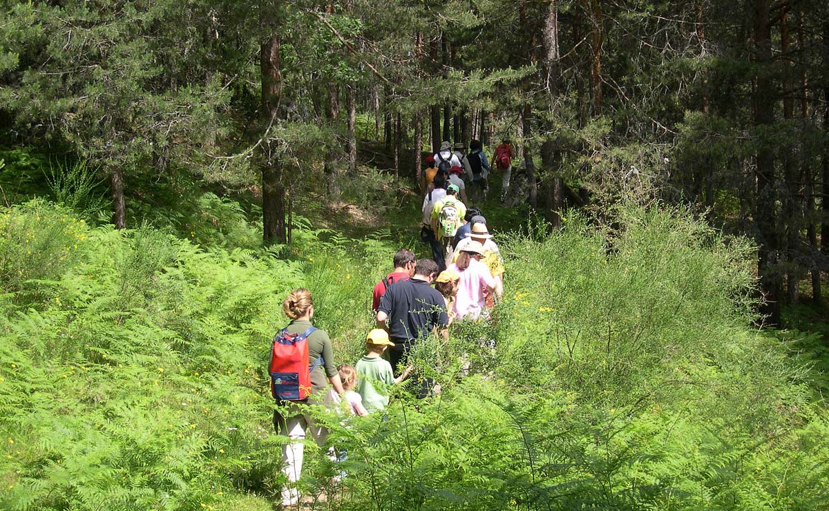 Fotografía de archivo de una ruta guiada en nuestra provincia.