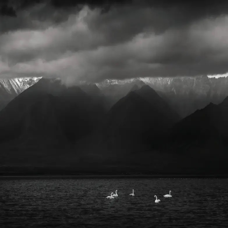 Xiu Liu fue la ganadora del concurso en 2022 con “Fairyland in dream”.