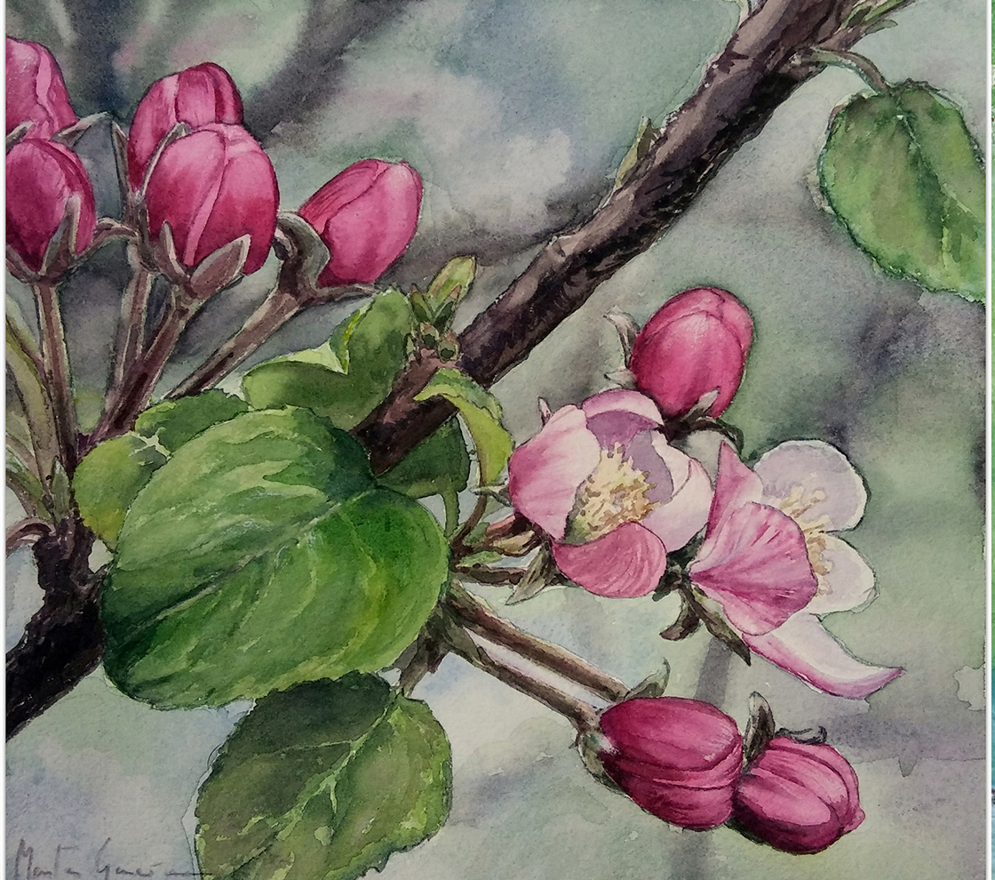 El Ayuntamiento de Navafría patrocina una serie de encuentros consecutivos.