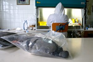 Focos de gripe aviar en El Oso, Ávila, y Fuenterrebollo, en Segovia, derivaron en el sacrificio de unas 19.000 aves.