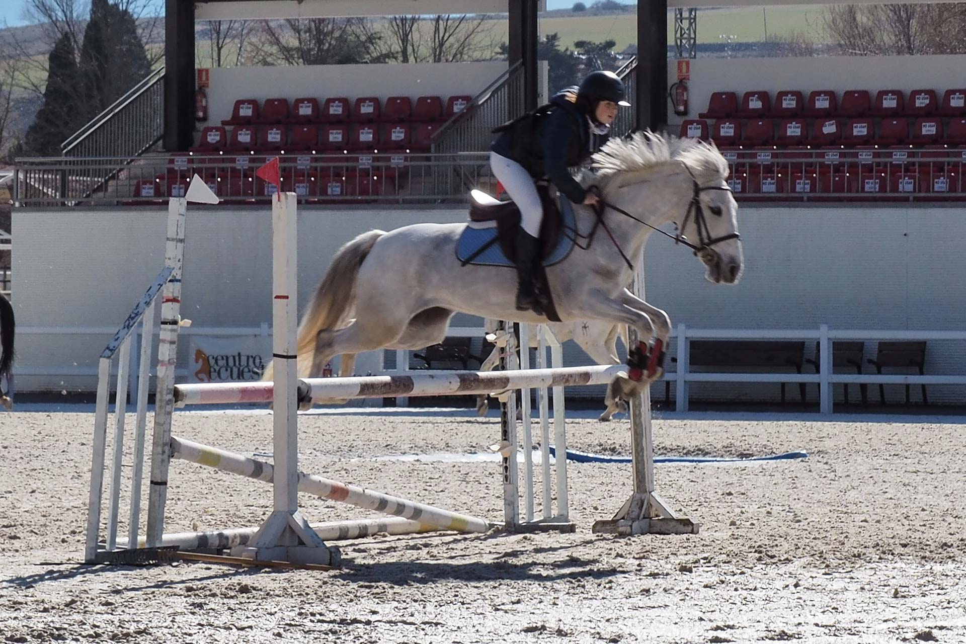 Una participante saltando con su montura durante el calentamiento previo a una de las pruebas. / MIGUEL ÁNGEL FERNÁNDEZ