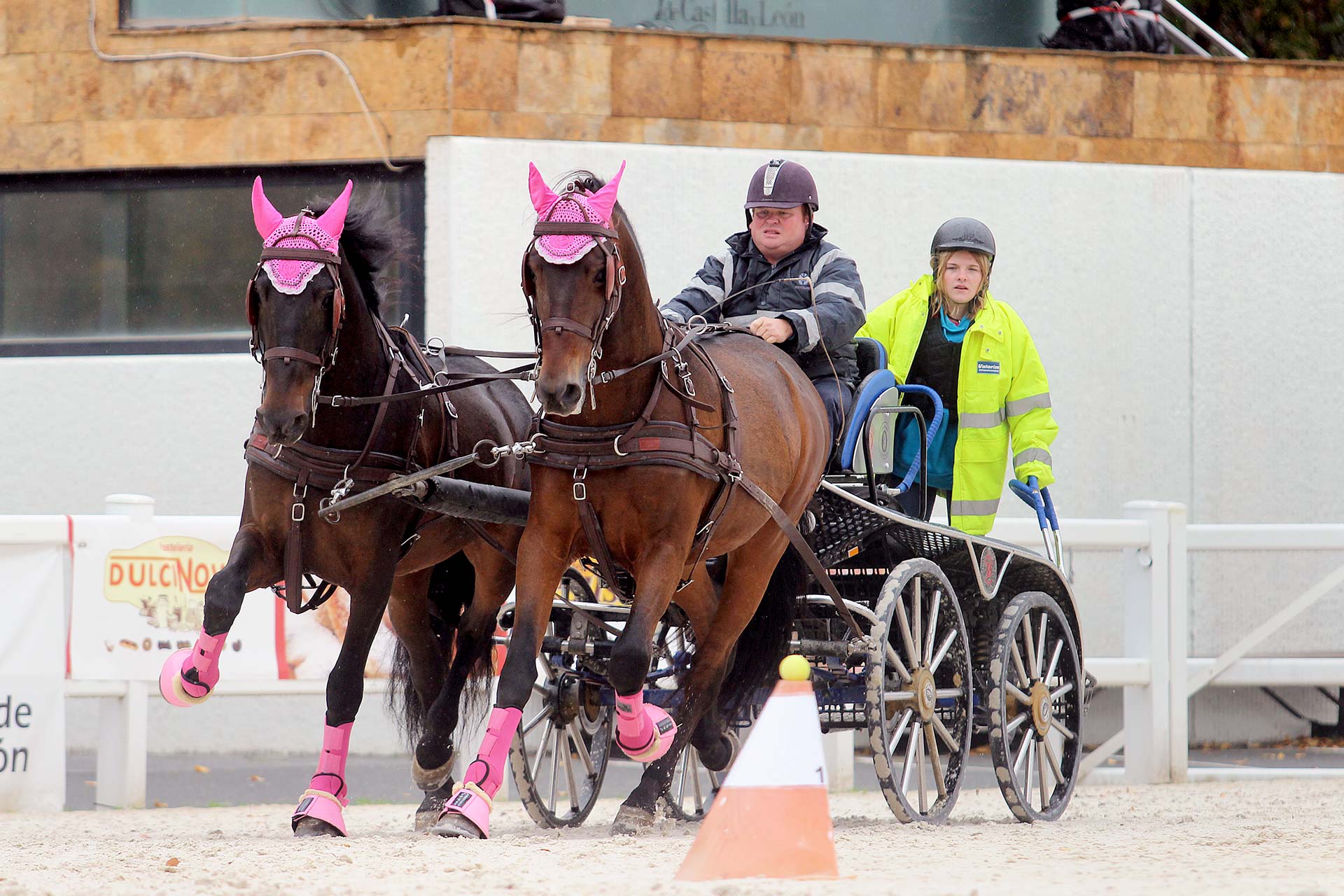 Una de las competiciones de enganche celebradas en el Centro Ecuestre./ FEDERACIÓN
