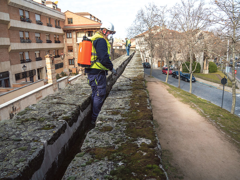 Inicio del tratamiento de especies perennes como musgo y líquenes, esta semana en el Acueducto. / E. A.