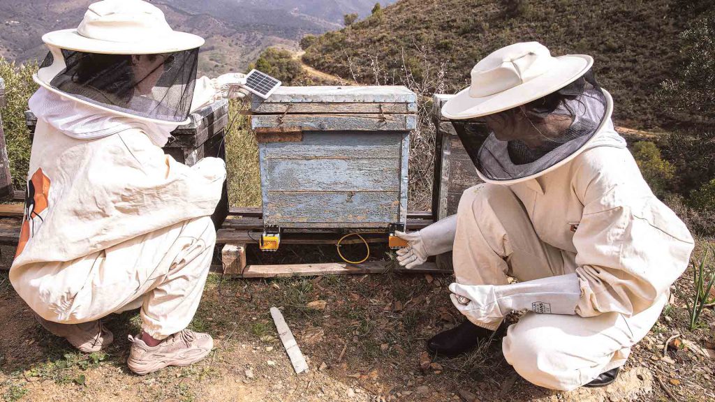 La Junta destina 210 millones de euros para ayudas ambientales de la nueva PAC 2 web 05 1