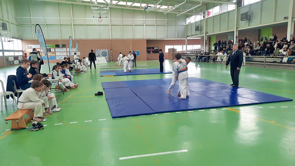 Finales provinciales escolares de judo en San Cristóbal. / DIPUTACIÓN