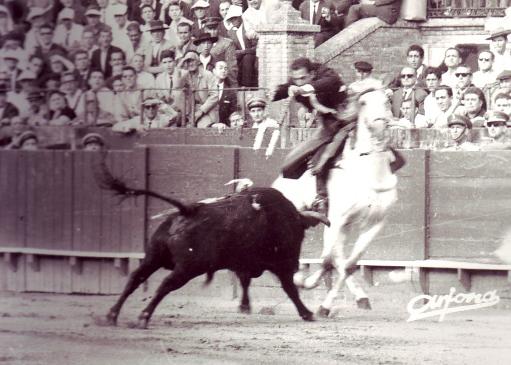 Josechu Pérez de Mendoza, el segoviano con nombre de pelotari que revolucionó el toreo a caballo 6 Par de banderillas a dos manos en la Maestranza. / ARJONA