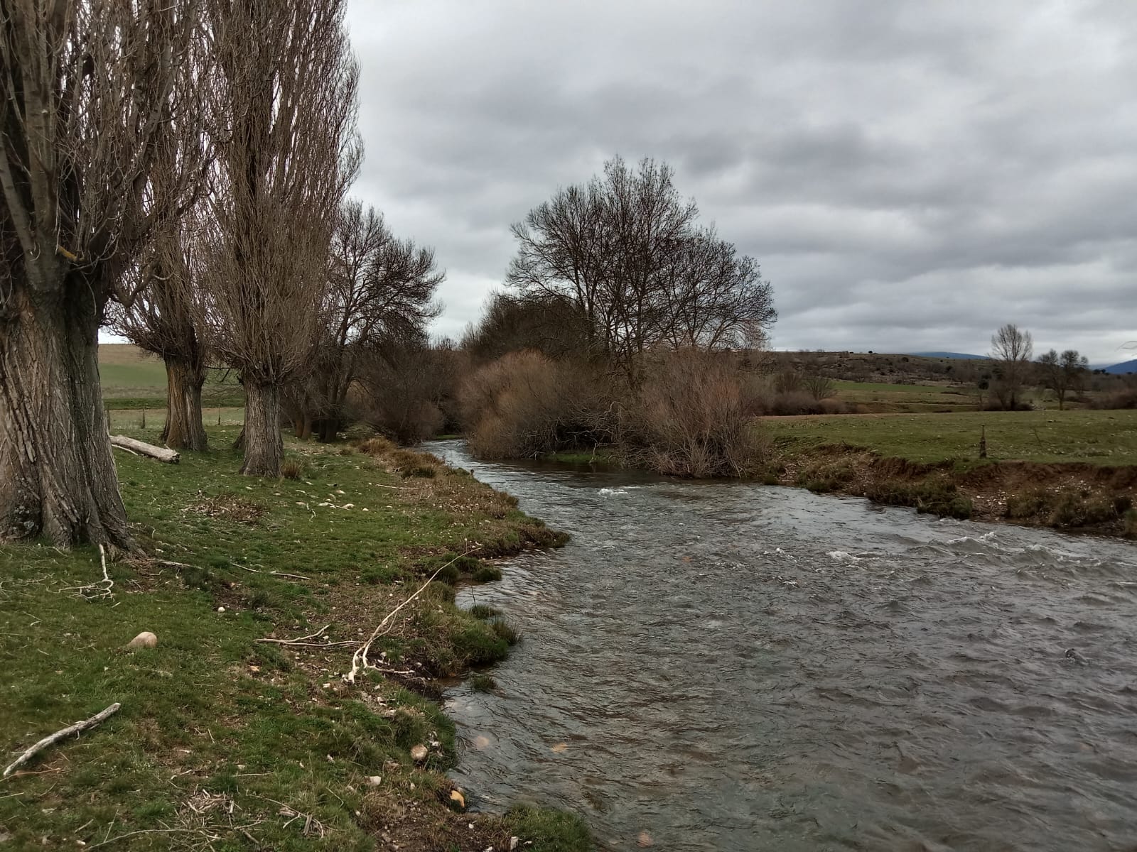 Vega del río Duratón.