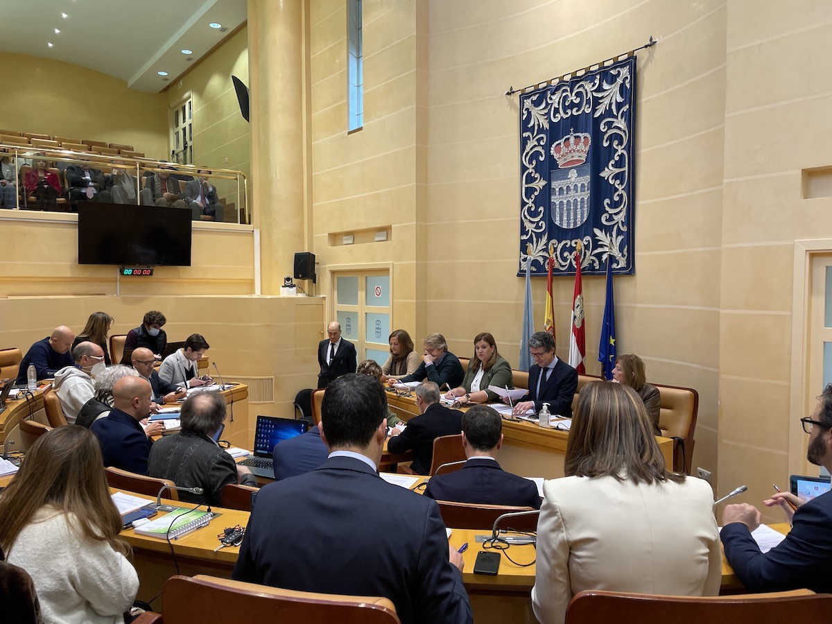 Pleno del mes de febrero. / EL ADELANTADO