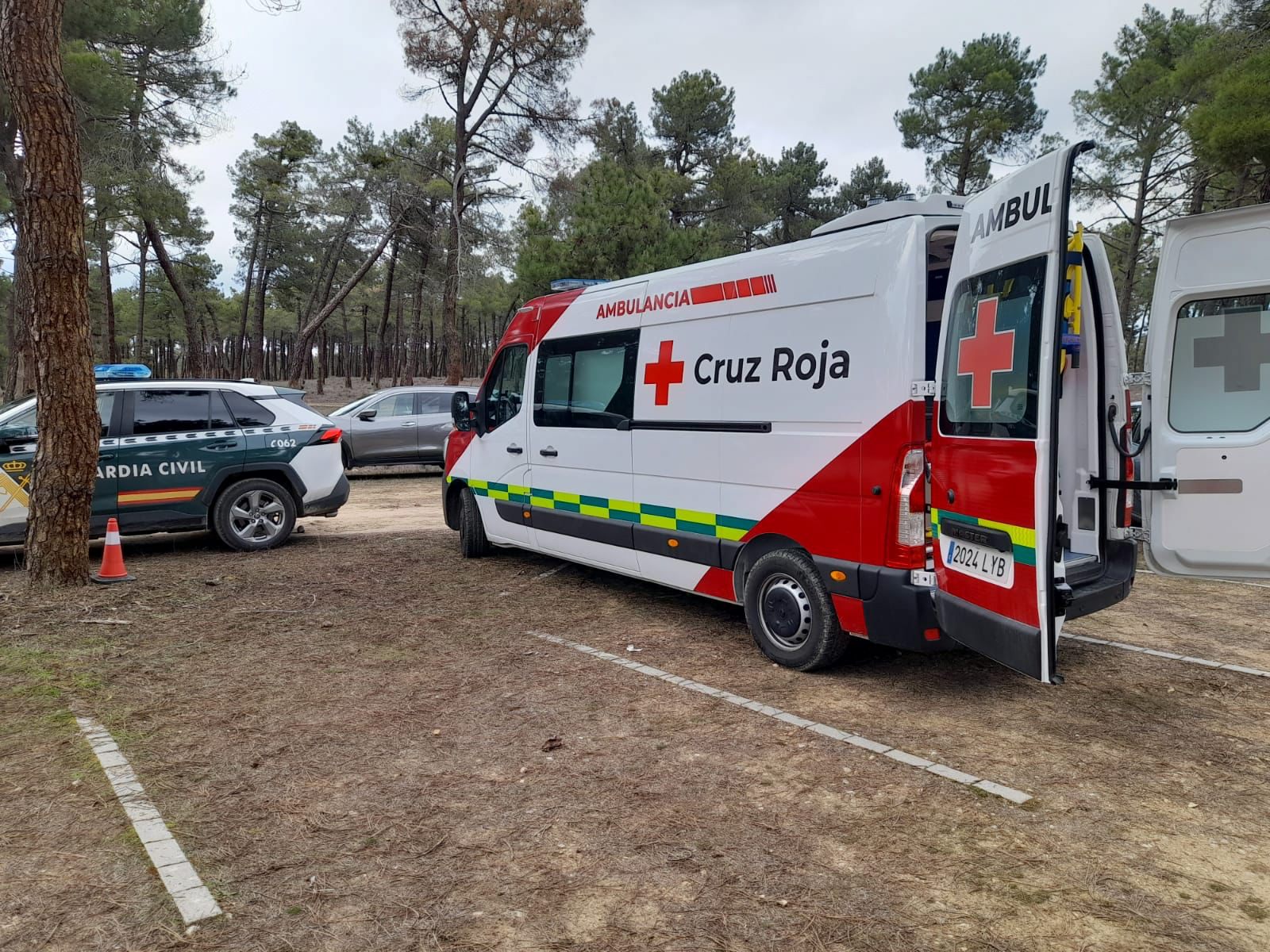 Operativo de búsqueda en los pinares de Cantalejo. / CRUZ ROJA SEGOVIA