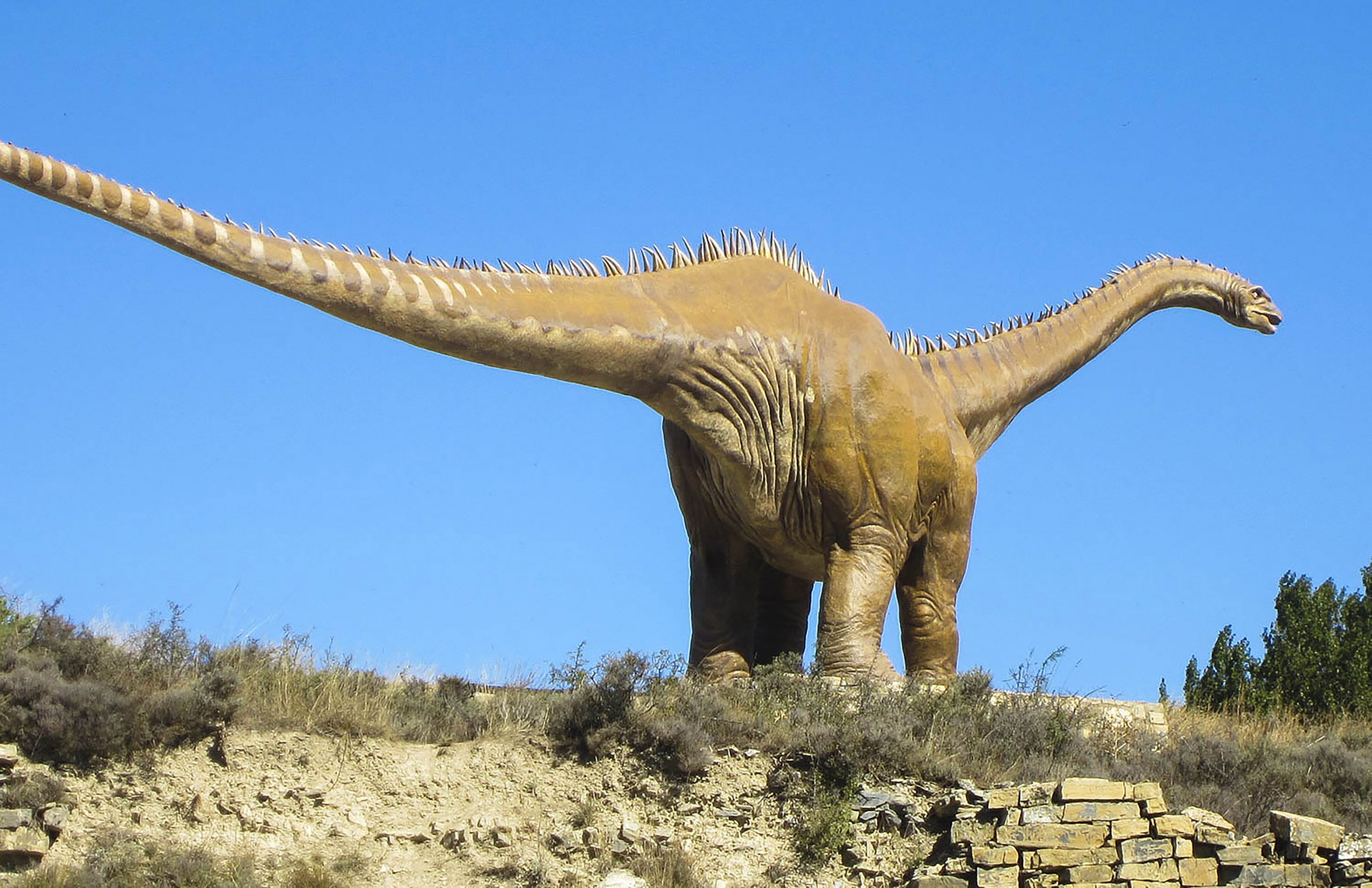 Soria cuenta además con la ruta de las icnitas, o huellas fosilizadas, en la que pueden encontrarse reproducciones de reptiles.