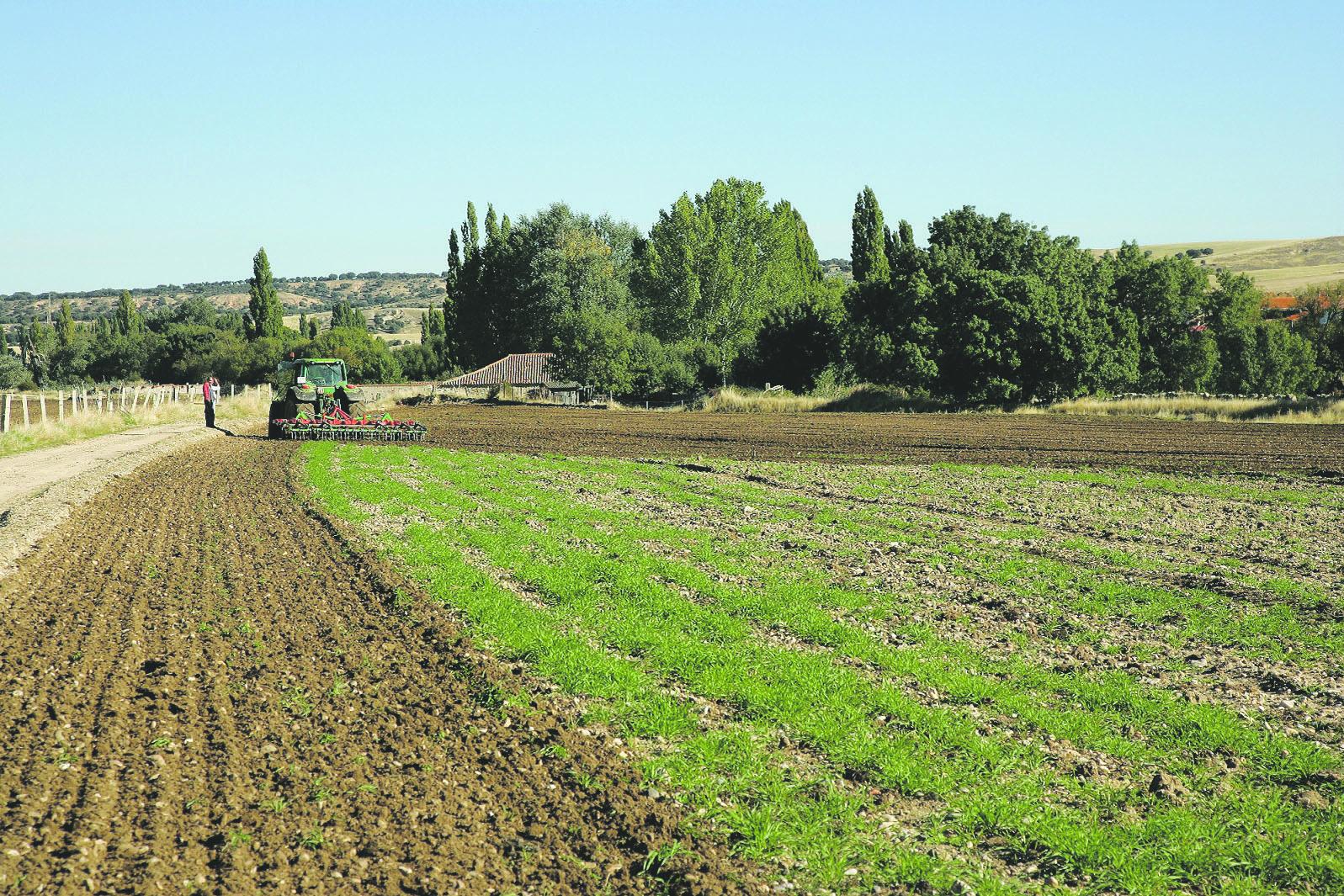 Terreno agrícola en la zona que puede resultar afectada por la explotación minera. / El Adelantado