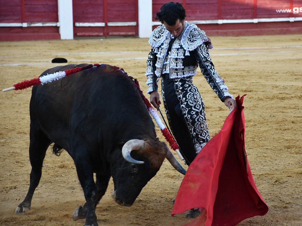Detalle por bajo de Morenito de Aranda, en Cantalejo. / A.M.