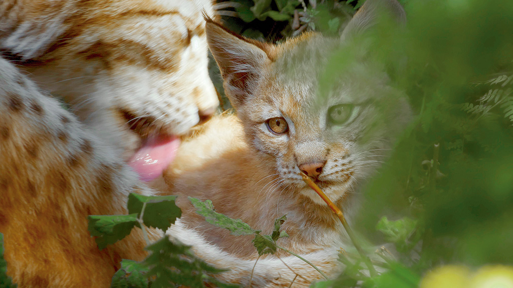 Fotograma del largometraje.