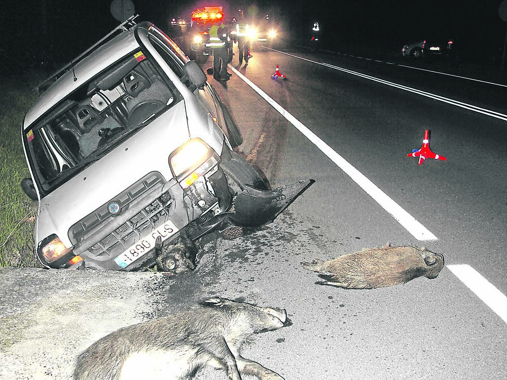 Accidente con jabalíes implicados.