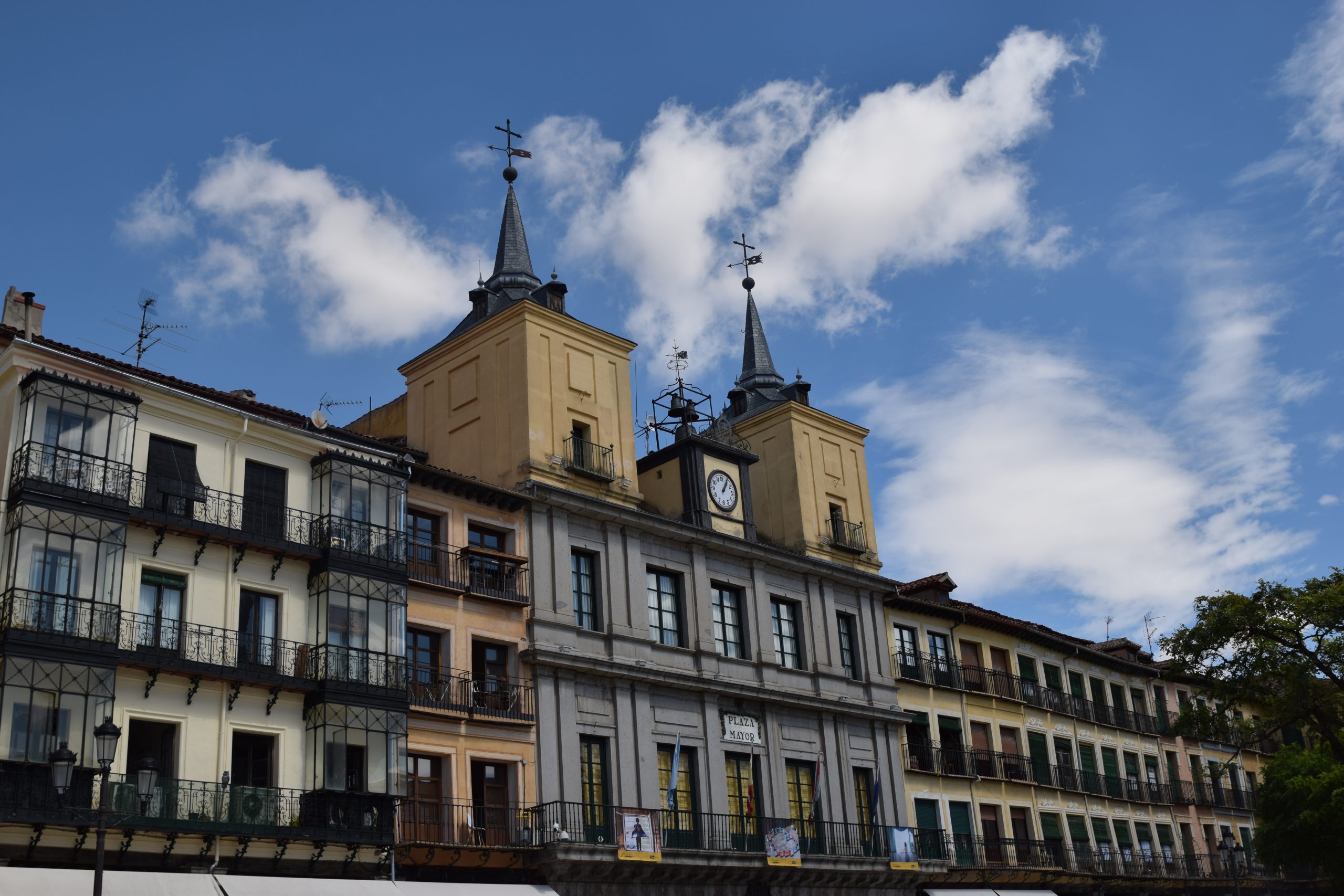 rociopardos 2 scaled