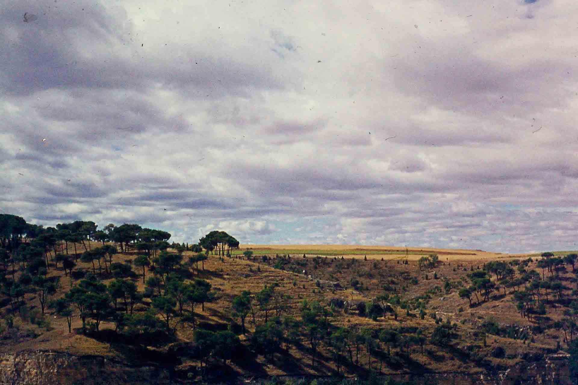 Panorámica del Pinarillo. Juan Manuel Santamaría.