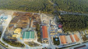 El Carracillo continúa con tendencias bajas de paro gracias a su creciente industria hortícola 2 web Tama y Naturpellet WEB