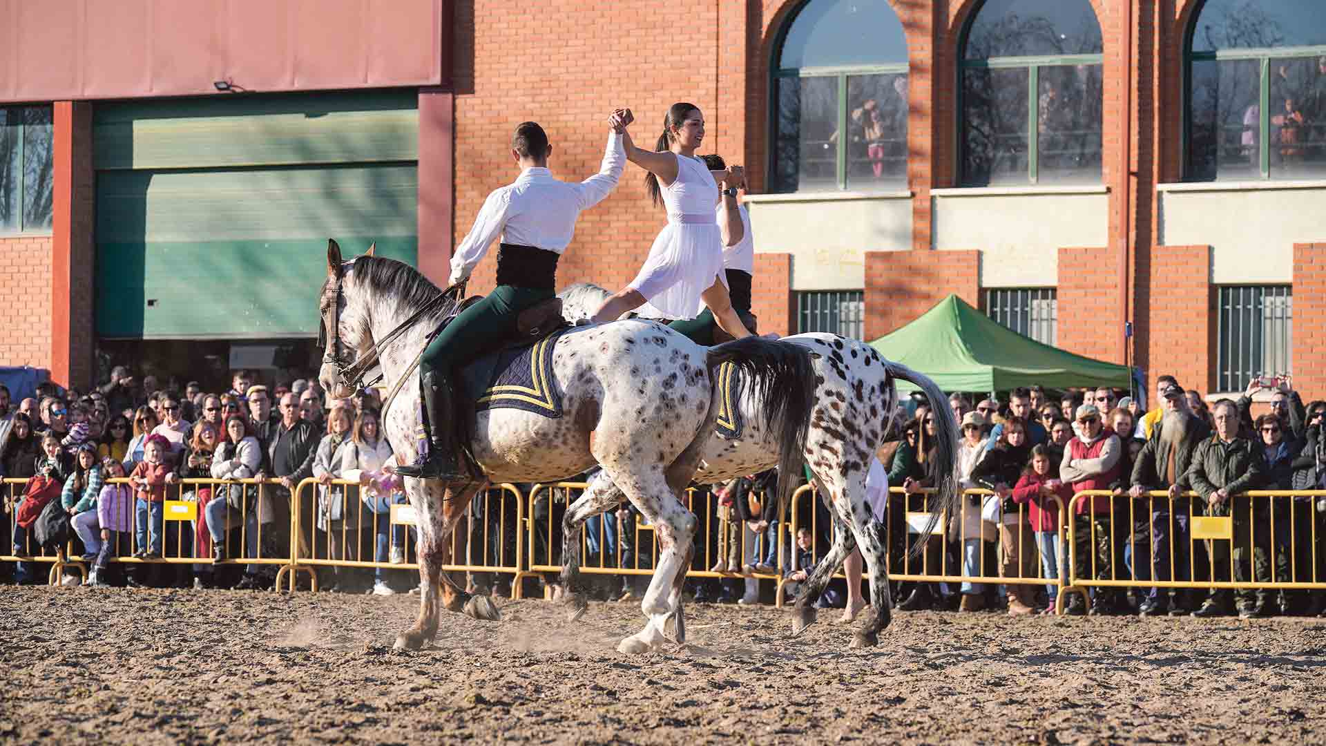 Coreografías ecuestres en la XXXVII Feria del Caballo de Fuentepelayo 3 web A7R4998