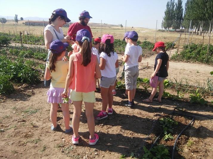 Actividad de huerto escolar en Abades en 2017. / UCCL