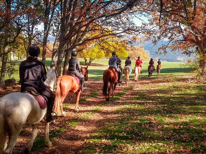 20230425 Iniciacion hipica slide