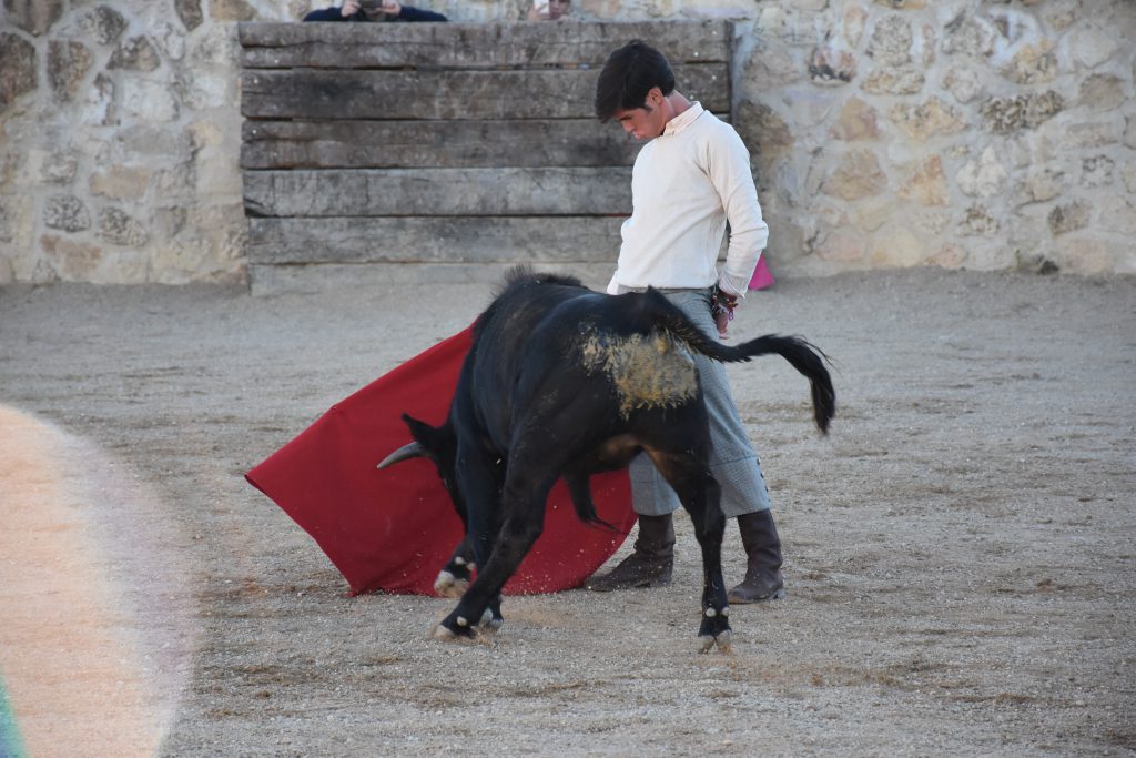 Giro de última hora en los festejos taurinos de Prádena: un concurso de cortes de alto nivel y una clase práctica 2 El alumno de la Escuela Provincial de Tauromaquia de Segovia Daniel Hernández. / A.M.