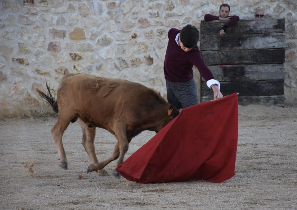 Jorge Oliva, alumno de la Escuela de Segovia, torea al natural. / A.M.