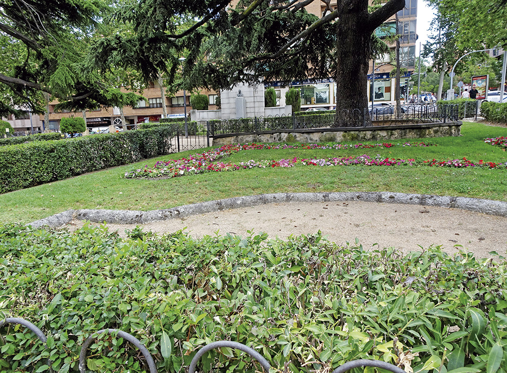 Jardinillos de San Roque. Plantación de alegrías delante del gran cedro. / Juan Manuel Santamaría