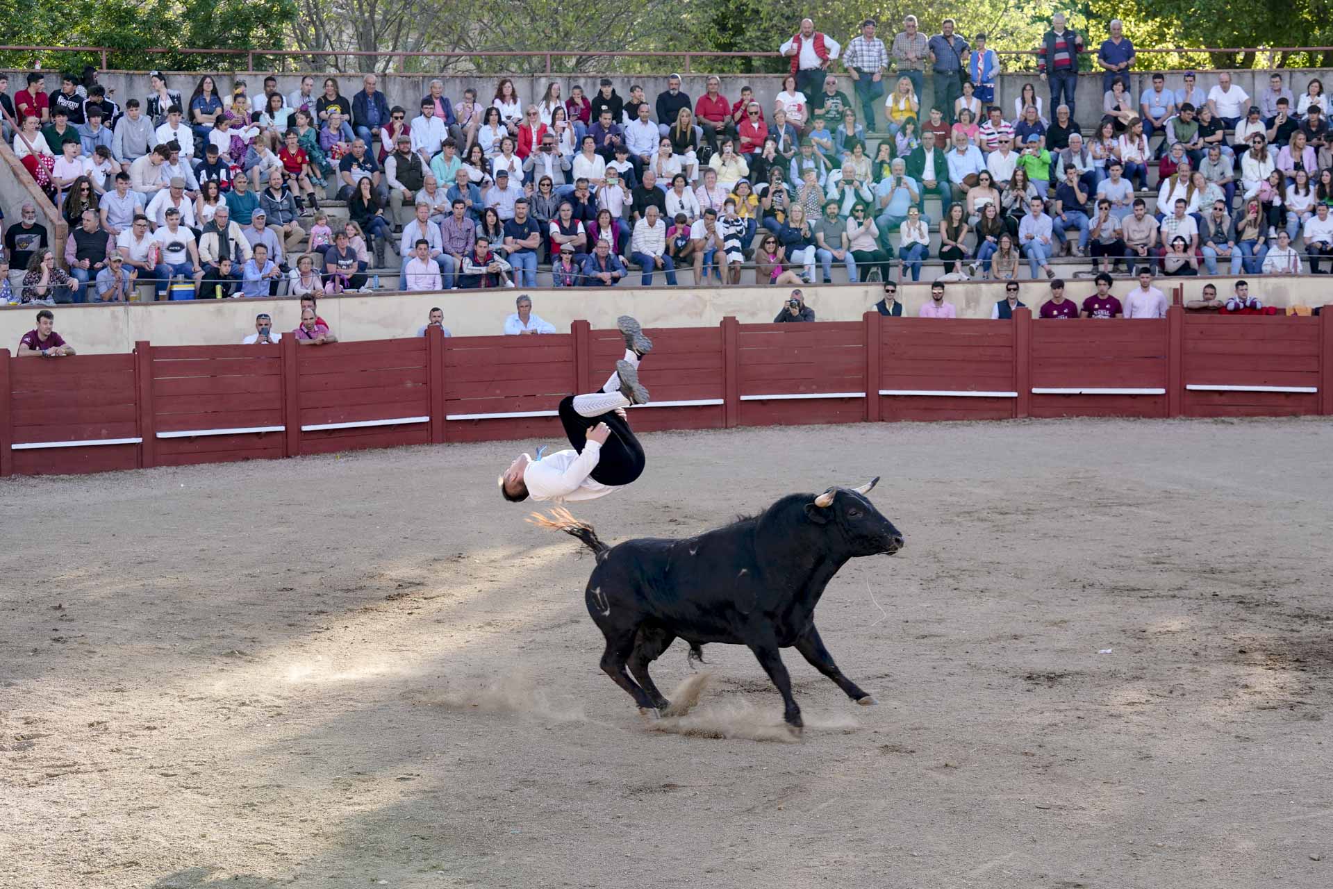 Fotografía: Miguel Angel Fernández