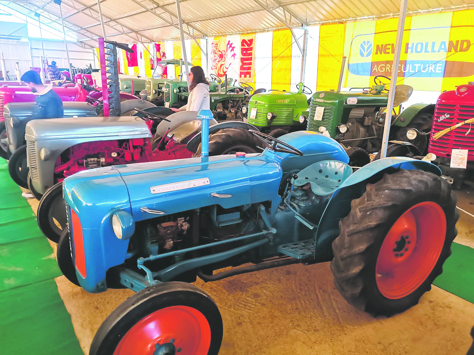 Museo del Tractor en Abadejos 4 Algunos tractores antiguos de diferentes marcas que han operado y operan en el mercado. Florentino Descalzo.