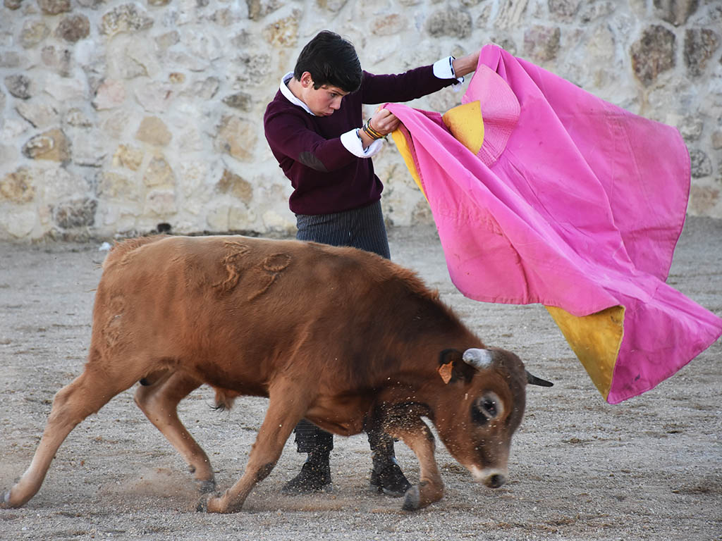 El alumno de la Escuela Provincia de Tauromaquia de Segovia Jorge Oliva. / A.M.