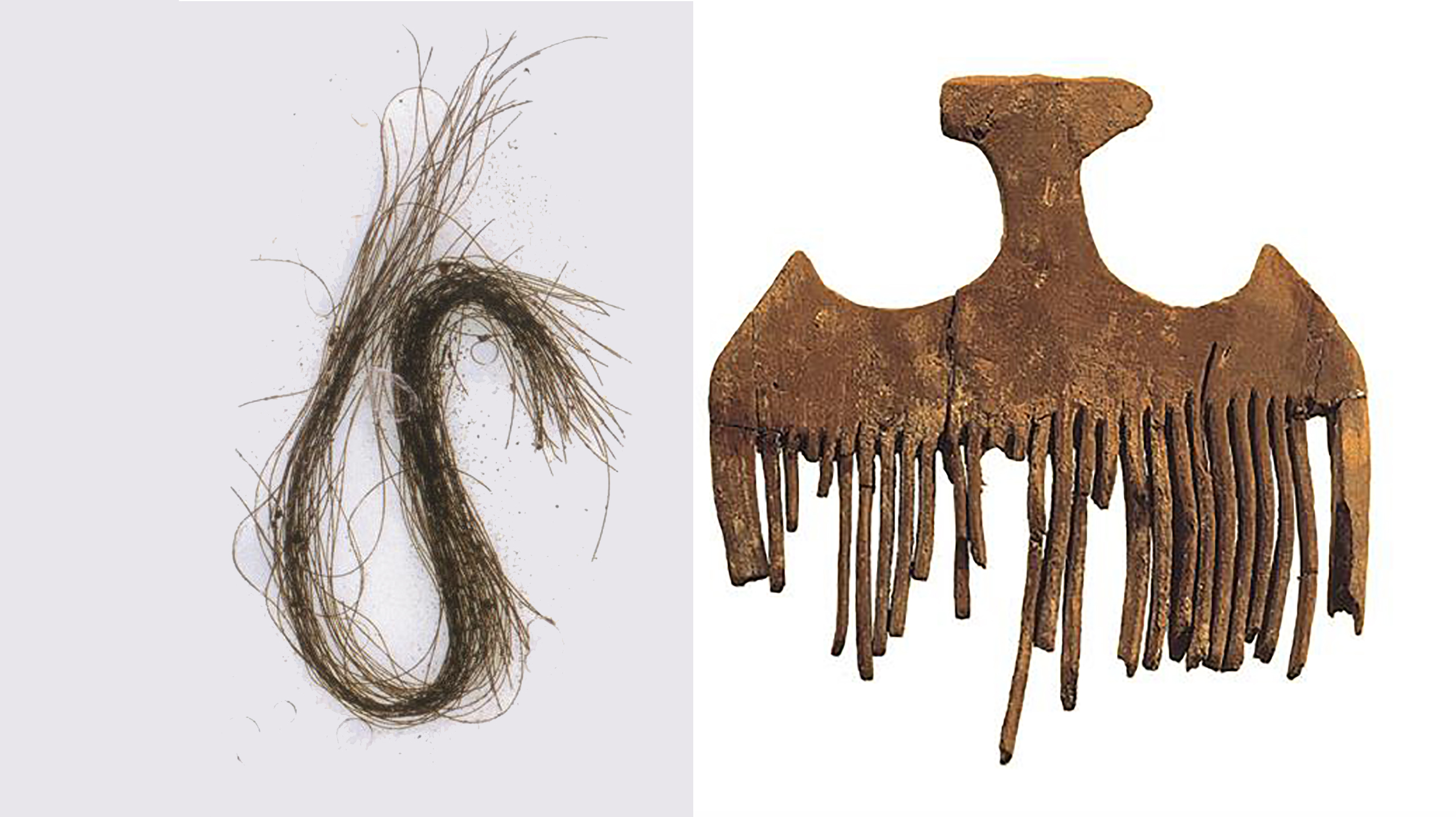 Peine de madera hallado con los recipientes que contenían cabellos humano hallados en la cueva Es Càrritx, Menorca.