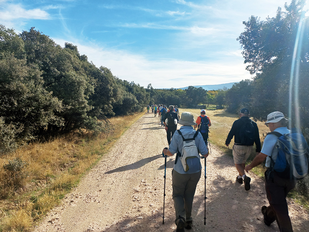 El Camino de San Frutos es un recurso turístico y de ocio en la naturaleza. / E. A.