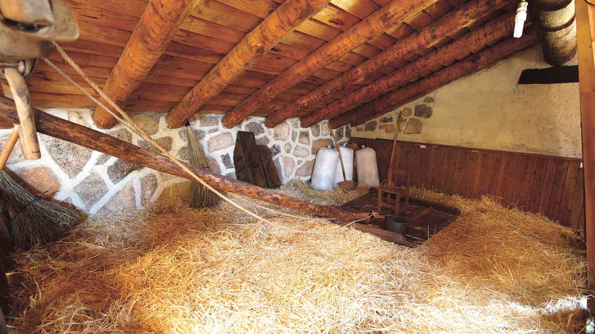 Museo ‘Mis aperos’ de Santiuste de Pedraza 2 WEB misAperos 089