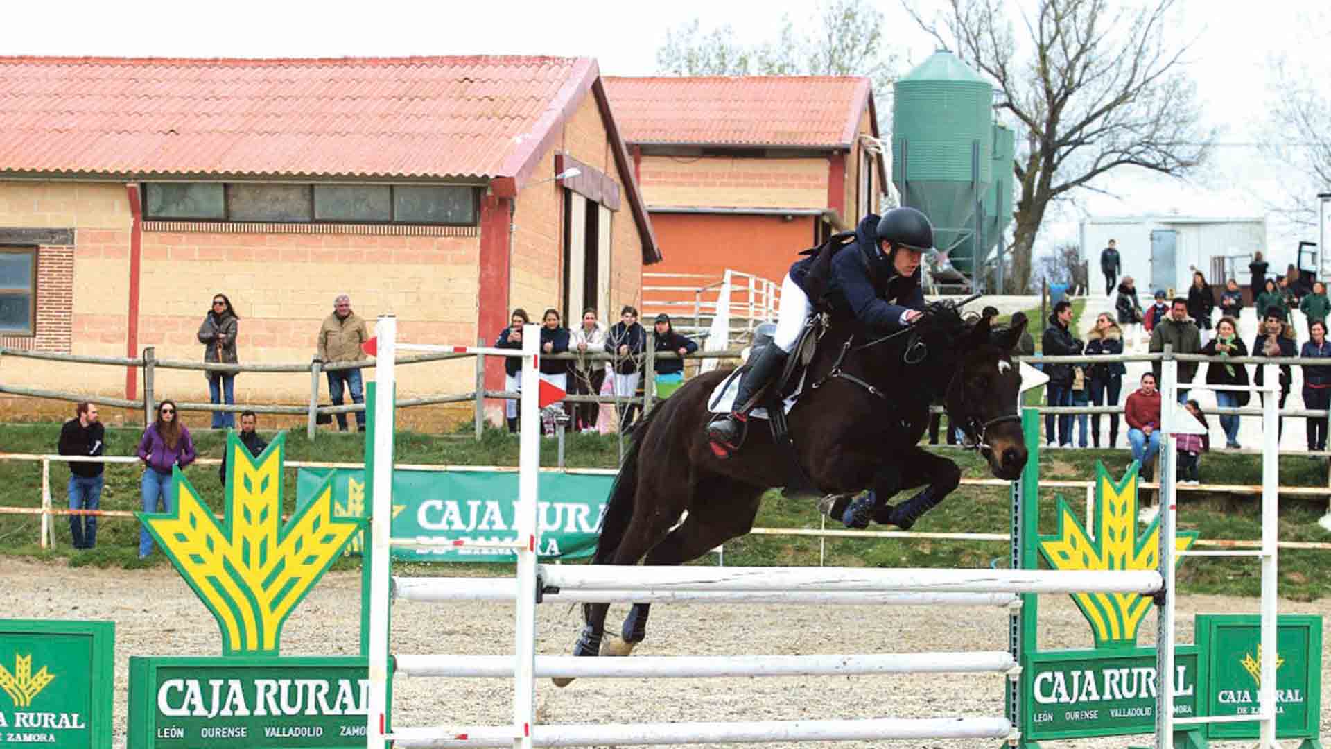 Uno de los saltos en las instalaciones abulenses. / FEDERACIÓN TERRITORIAL